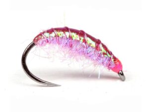 Funky Shrimp Funky Shrimp Nymfer