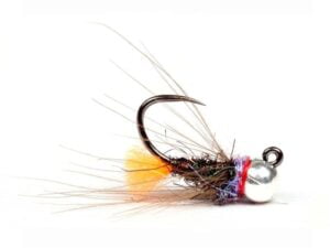 Bootlace Orange Tag Bootlace Orange Tag Nymfer