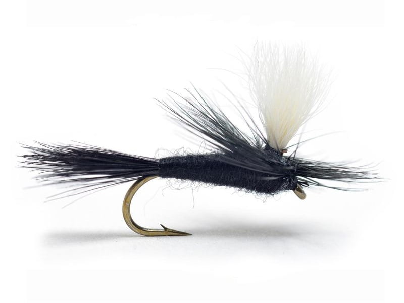 Parachute Black Mygg & Landinnsekter