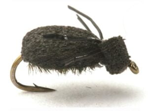 Foam Beetle Lawson krok 16 Mygg & Landinnsekter