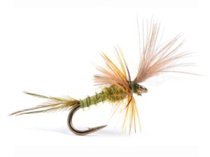 Quigley Cripple BWO Døgnfluer