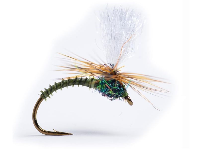 Klink DK Olive Biot Døgnfluer