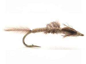 Vulgata Nymfe Krok 8 Nymfer