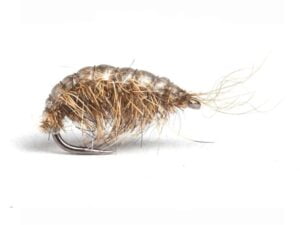 Scud Natural Krok 12 Nymfer