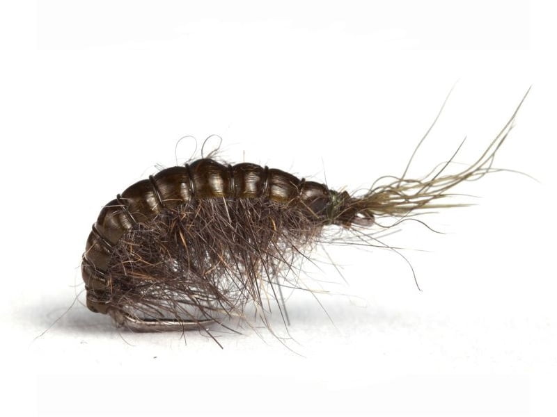 Scud Olive & Grey Krok 12 Nymfer