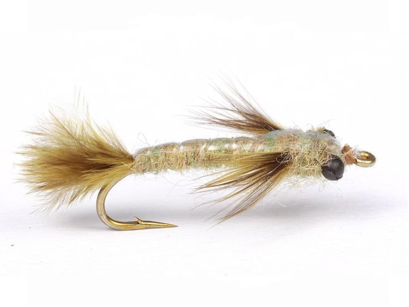 Damsel Nymph Barr`s krok 10 Nymfer