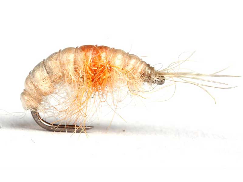 Scud Cream & Orange Scud Cream & Orange Nymfer