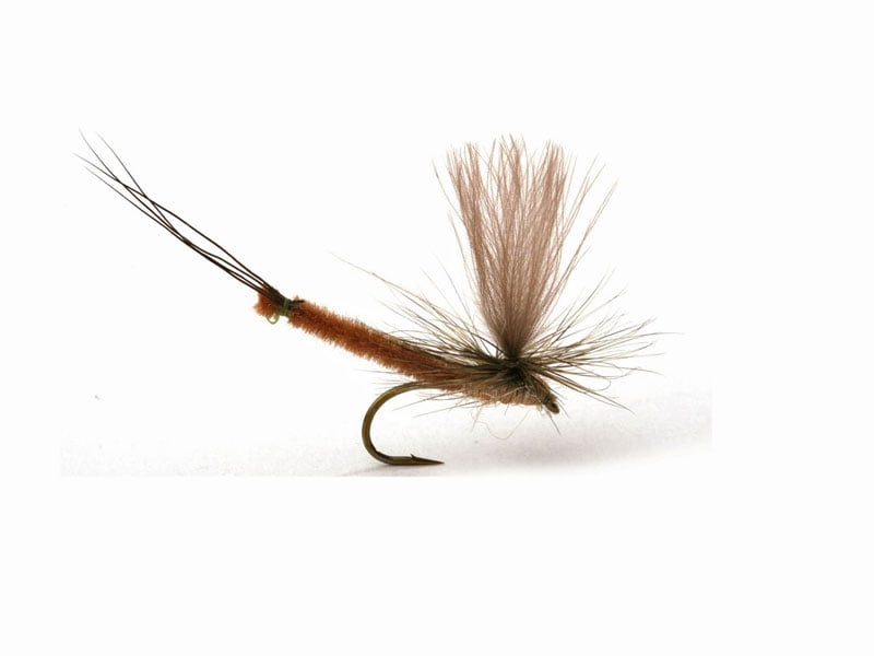 Vulgata Dun Krok 10 Vulgata Dun Krok 10 Døgnfluer