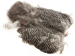 Ewing Grizzly Body Marabou Patch Grizzly Nakker & Saddler