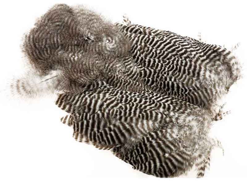 Ewing Grizzly Body Marabou Patch Grizzly Nakker & Saddler