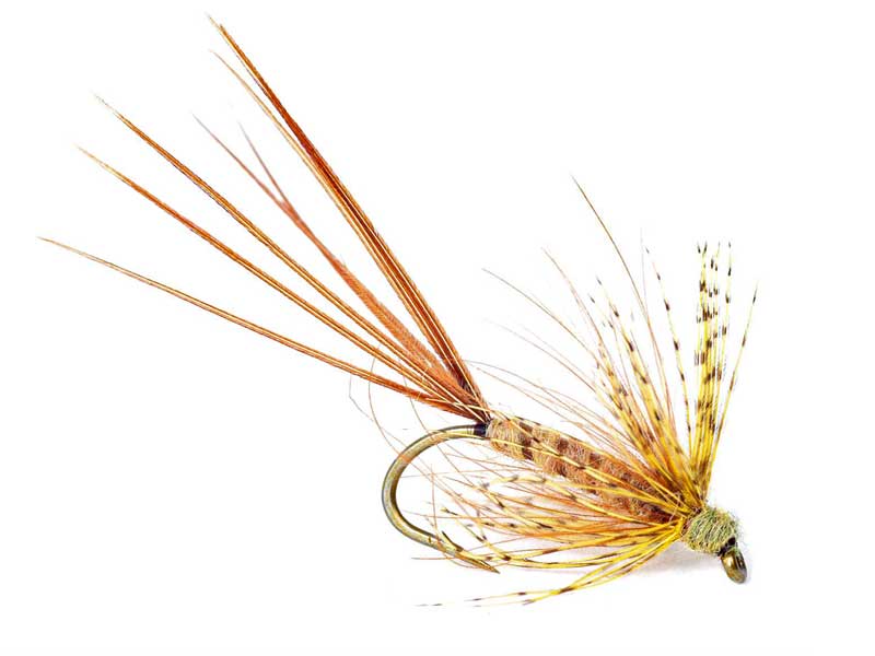 Vulgata Gosling Krok 8 Døgnfluer