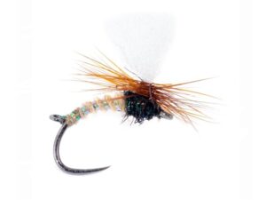 Indi Klink Krok 12 Indi Klink Krok 12 Vårfluer