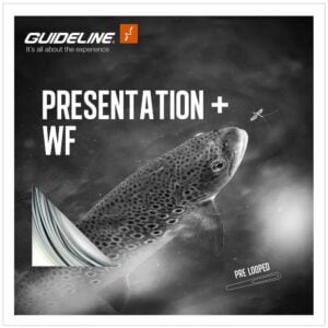 Guideline Presentation+ WF Flyt WF Liner