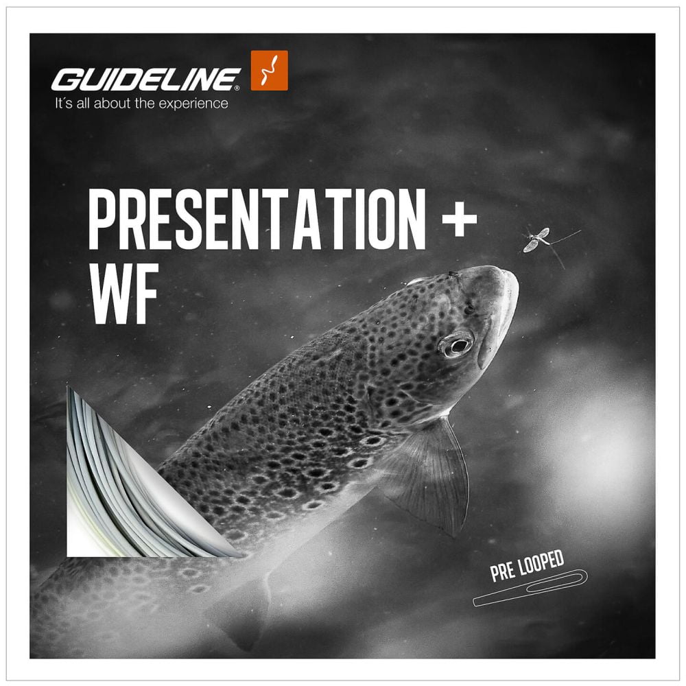 Guideline Presentation+ WF Flyt WF Liner