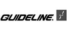 Guideline
