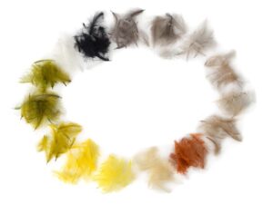 Selected Premium CDC CDC